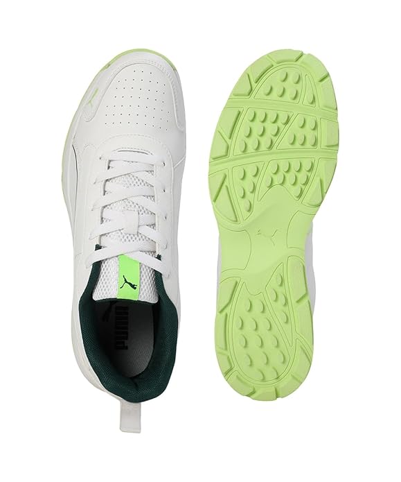 Puma Men Cricket Classicat Cricket Shoe (Green White)