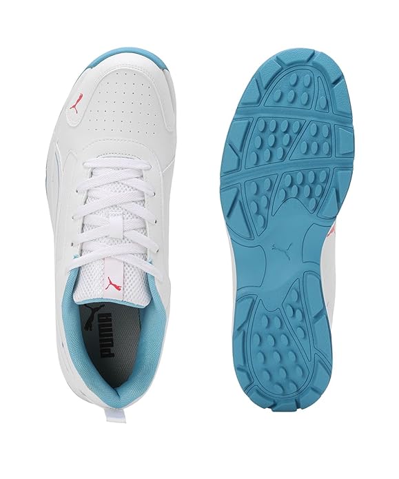 Puma Men Cricket Classicat Cricket Shoe (Blue White)