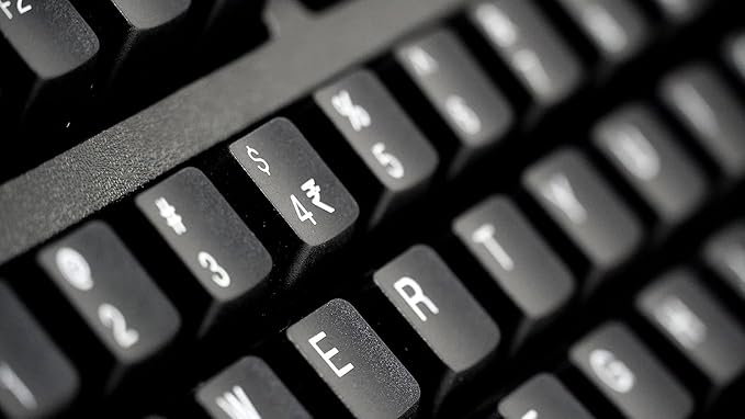 TVS ELECTRONICS USB Gold Keyboard (Black)