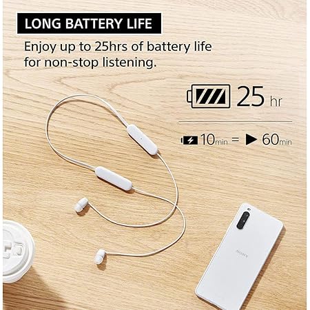 Sony WI-C100 Wireless Headphones with Customizable Equalizer for Deep Bass & 25 Hrs Battery (4 color options)