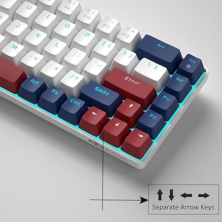 MageGee Portable 60% Mechanical Gaming Keyboard, MK-Box LED Backlit Compact 68 Keys Mini Wired Office Keyboard with Red Switch for Windows Laptop PC Mac - White/Blue