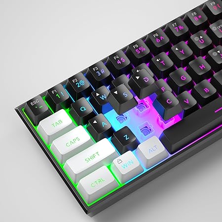 MageGee Mini 60% Gaming Keyboard,Rgb Backlit 61 Key Ultra-Compact Keyboard,Ts91 Ergonomic Waterproof Mechanical Feeling Office Computer Keyboard For Pc,Mac,Ps4,Xbox One Gamer,Wired(Black&White)