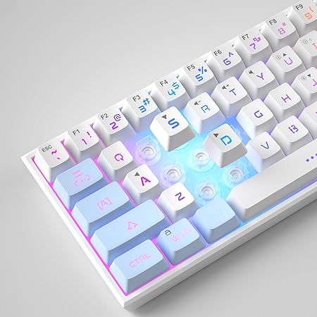 MageGee Mini 60% Gaming Keyboard, RGB Backlit 61 Key Ultra-Compact, TS91 Ergonomic Waterproof Mechanical Feeling Office Computer Keyboard for PC, MAC, PS4, Xbox ONE Gamer (Blue & White)