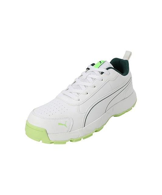 Puma Men Cricket Classicat Cricket Shoe (Green White)
