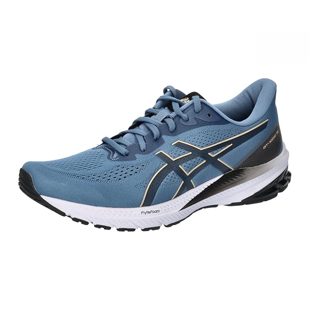 ASICS Men's Gt-1000 12 Running Shoes (Blue)