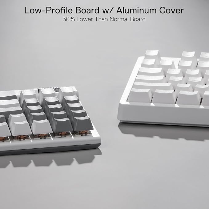 Redragon K617 Fizz 60% Wired RGB Gaming Keyboard, 61 Keys Compact Mechanical Keyboard w/White and Grey Color Keycaps, Linear Red Switch, Pro Driver/Software Supported