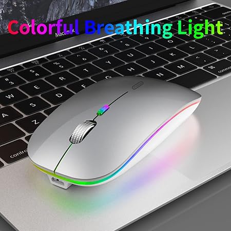 Uiosmuph LED Wireless Mouse, G12 Slim Rechargeable Silent Mouse, 2.4G Portable Optical Computer Mice with USB Receiver and Type C Adapter (Silver)