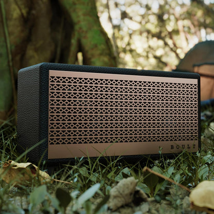 Boult Newly Launched Retroamp Z30 with 30W Bluetooth Speaker with Dual Dynamic Drivers, 10Hrs Playtime (Vintage Gold)