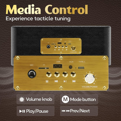 Boult Newly Launched Retroamp Z40 with 40W Bluetooth Speaker with Dual Dynamic Drivers, 14Hrs Playtime (Royal Gold)