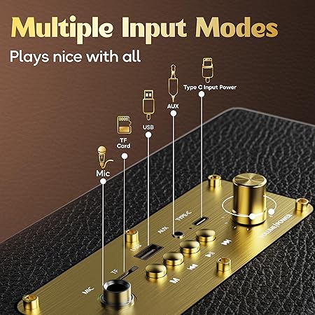 Boult Newly Launched Retroamp Z40 with 40W Bluetooth Speaker with Dual Dynamic Drivers, 14Hrs Playtime (Royal Gold)