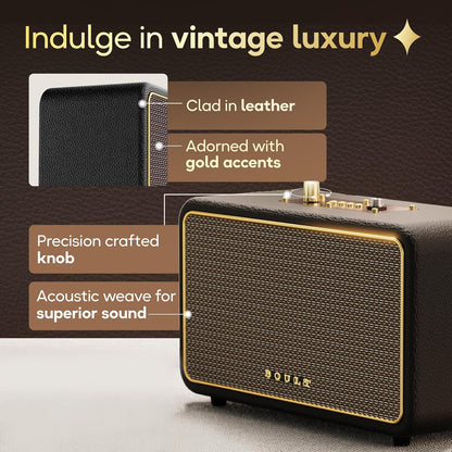 Boult Newly Launched Retroamp Z40 with 40W Bluetooth Speaker with Dual Dynamic Drivers, 14Hrs Playtime (Royal Gold)