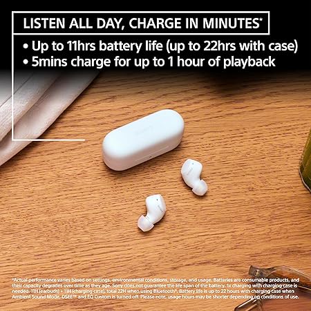 Sony WF-C510 Wireless Bluetooth Earbuds with Mic, TWS, Up to 22 Hours Battery (3 Color options)