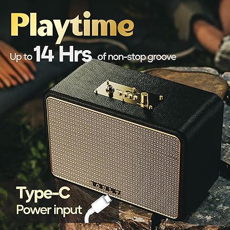 Boult Newly Launched Retroamp Z40 with 40W Bluetooth Speaker with Dual Dynamic Drivers, 14Hrs Playtime (Royal Gold)